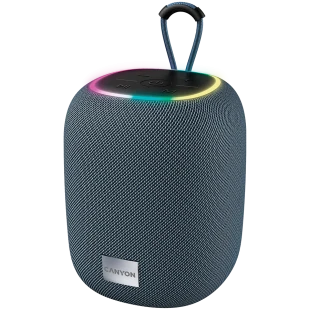 CANYON speaker BSP-8 10W Gray