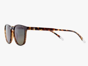 Suncane naocare BARNER Dalston/Glossy Tortoise