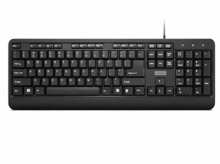 Tastatura LENOVO 160 žicna/GY41L68463/US/crna