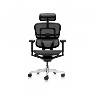 Antares Radna fotelja ERGOHUMAN 2 Ultra