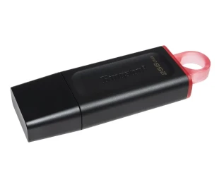 KINGSTON 256GB DataTraveler Exodia USB 3.2 Gen1 DTX/256GB 