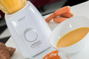 VIVAX HOME blender BL-600G