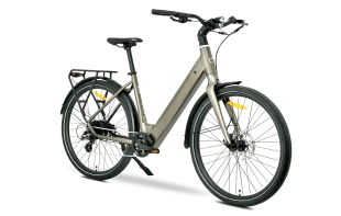 MS ENERGY eBike Zorya bronze_REG