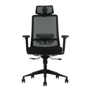 Ergonomska kancelarijska stolica UGD LumbarMax