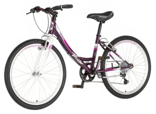 Bicikla Visitor Junior Fox 24/19 V-BRAKE/6 brzina/ljubičasta