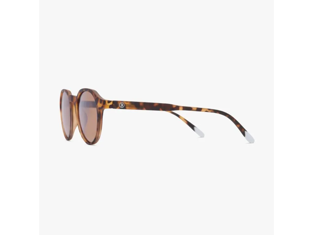 Suncane naocare BARNER Chamberi/Tortoise Slika 2
