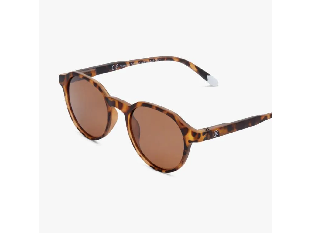Suncane naocare BARNER Chamberi/Tortoise Slika 3