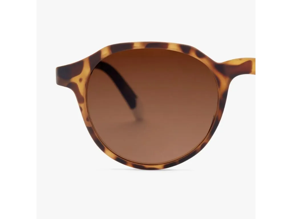 Suncane naocare BARNER Chamberi/Tortoise Slika 4