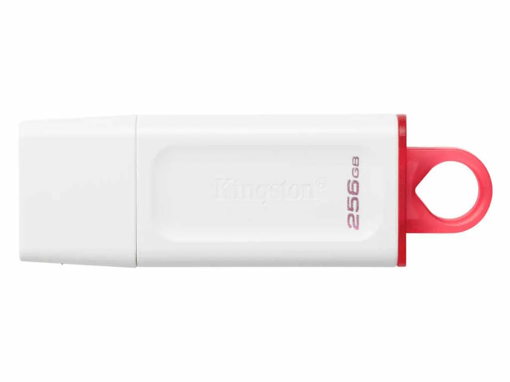 Kingston USB memorija KINGSTON KC-U2G256-5R/DataTraveler Exodia/3.2/bela Slika 1