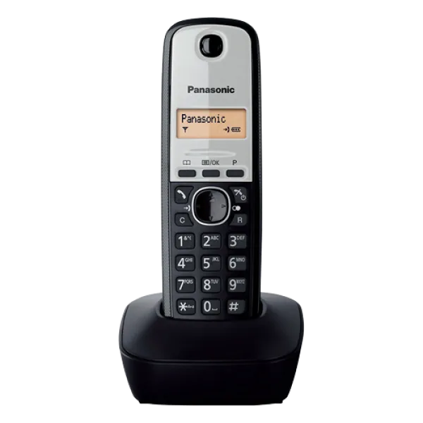 Telefoni Fiksni bezicni PANASONIC KX-TG1911FXG Slika 1