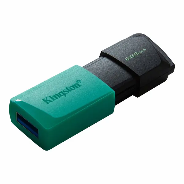 USB Flash Kingston 256GB DataTraveler Exodia M, USB3.2 DTXM/256GB Slika 2