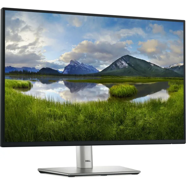 Monitor 24.07" Dell P2425E IPS 1920x1200/100Hz/5ms/HDMI/DP/RJ45/USB/USB-C Slika 7