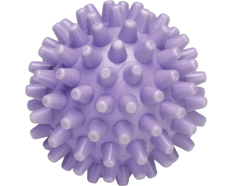 WPro Lopta za omekšavanje veša u mašini za sušenje veša WBA101  Slika 2