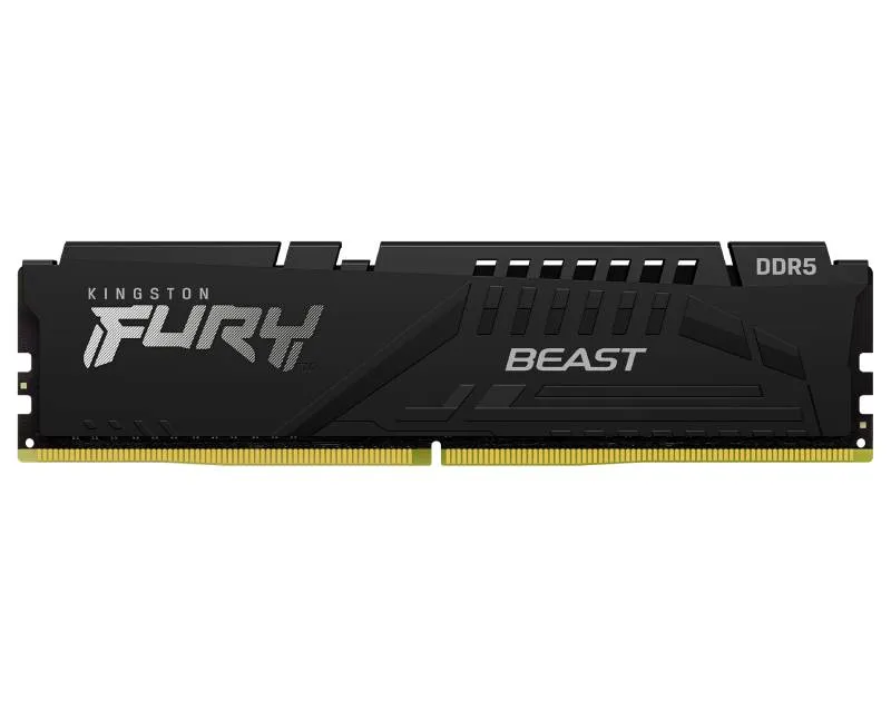 KINGSTON DIMM DDR5 32GB 6000MT/s KF560C36BBE-32 FURY Beast EXPO  Slika 1