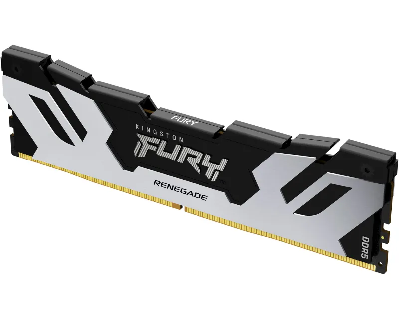 KINGSTON DIMM DDR5 24GB 6400MT/s KF564C32RS-24 FURY Renegade Silver XMP - Slika 2