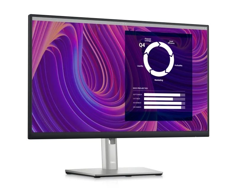 DELL 23.8 inch P2423D QHD Professional IPS monitor  Slika 6