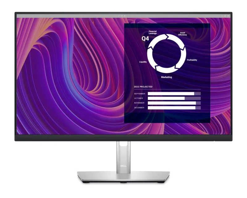 DELL 23.8 inch P2423D QHD Professional IPS monitor  Slika 1