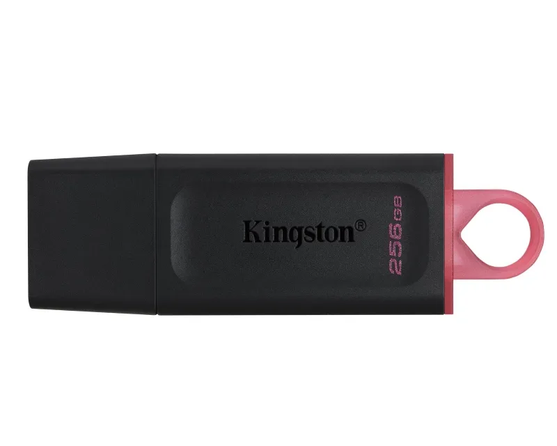 KINGSTON 256GB DataTraveler Exodia USB 3.2 Gen1 DTX/256GB Slika 2