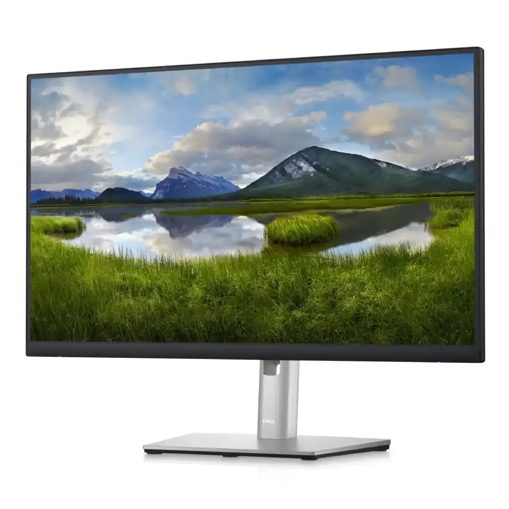 Monitor 24 Dell P2423D 2560x1440/QHD/IPS/60Hz/IPS/5ms/HDMI/DP/4xUSB/Pivot Slika 2