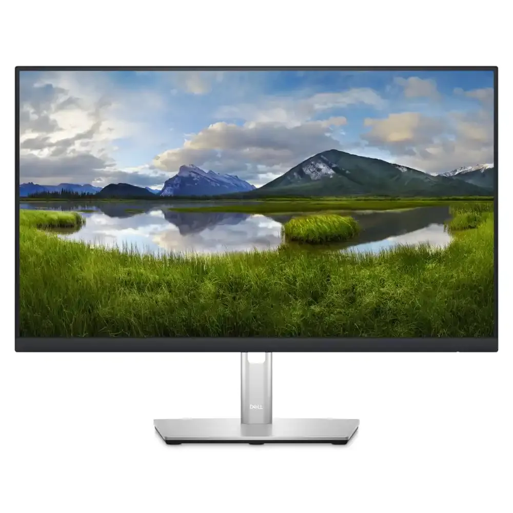 Monitor 24 Dell P2423D 2560x1440/QHD/IPS/60Hz/IPS/5ms/HDMI/DP/4xUSB/Pivot Slika 1