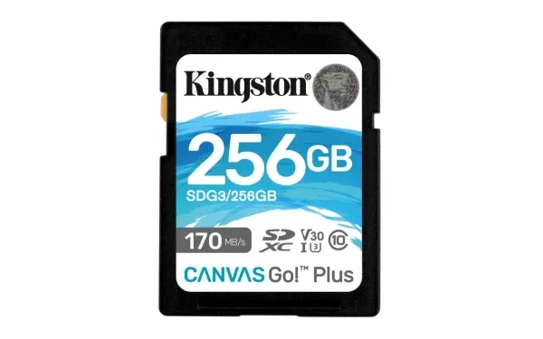 SD Card 256GB Kingston SDG3/256GB class 10 170Mbs/90MBs A2 Slika 1