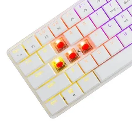 Tastatura White Shark NAGAMAKI 60/Mehanička/Crveni linearni svičevi/RGB/Bela/US Slika 3