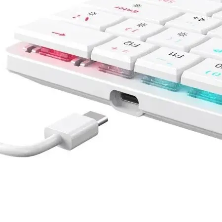 Tastatura White Shark NAGAMAKI 60/Mehanička/Crveni linearni svičevi/RGB/Bela/US Slika 2