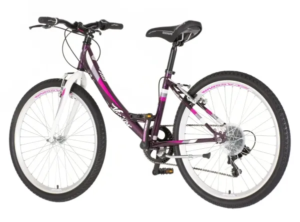 Bicikla Visitor Junior Fox 24/19 V-BRAKE/6 brzina/ljubičasta Slika 2