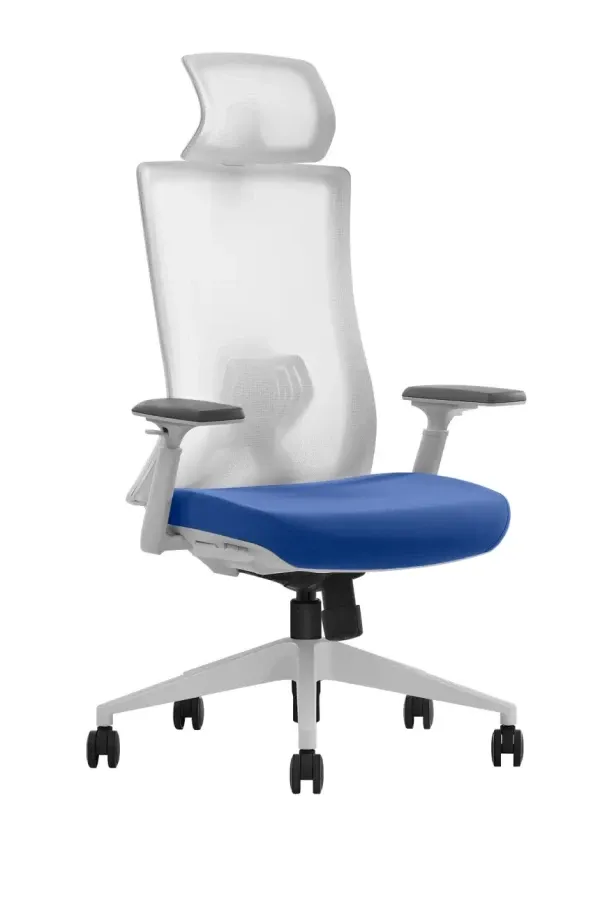 Ultra ergonomska kancelarijska stolica UGD P200 Blue Slika 1
