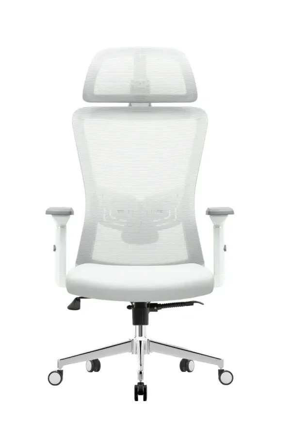 Ergonomska kancelarijska stolica UGD Silver Polare Slika 4