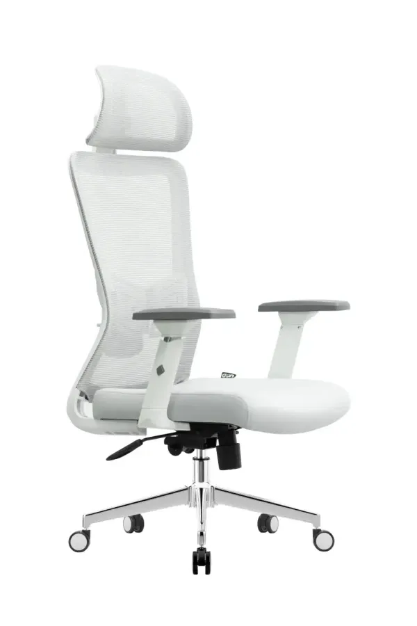 Ergonomska kancelarijska stolica UGD Silver Polare Slika 1