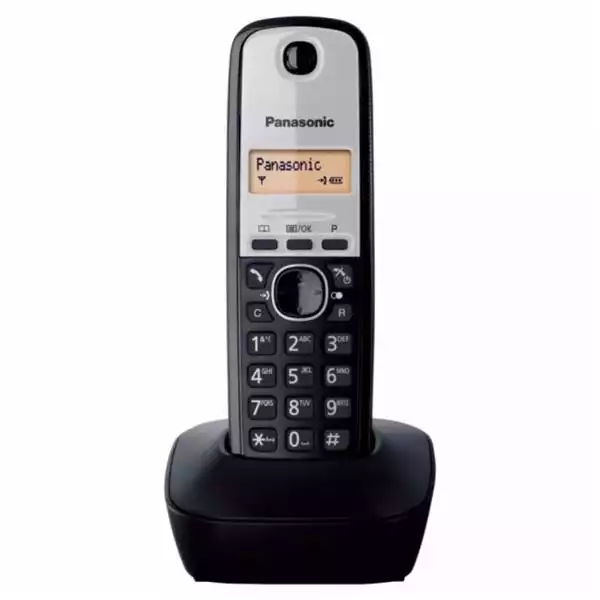 Bežični telefon Panasonic KX-TG1911 FXG Slika 1
